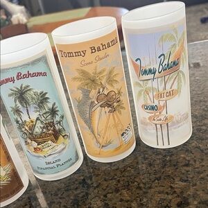 Tommy Bahama Tropical Frosted Glass Tumbler - Multicolor (5)